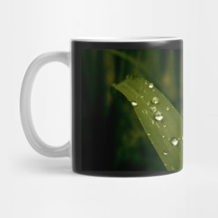 Water Drops - green macro Mug